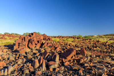 June 2024 / DAMPIER-FACILITY-240605-_Z9C6815