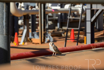 June 2024 / TGS-240605-_Z8C1733