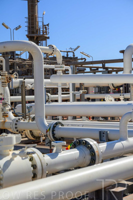 June 2024 / TGS-240605-_Z8C1809