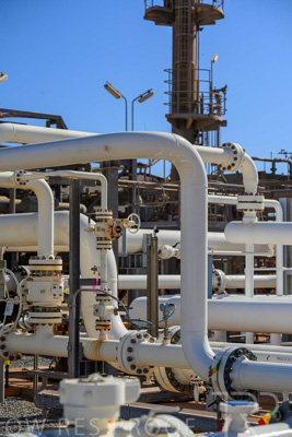 June 2024 / TGS-240605-_Z8C1815