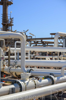 June 2024 / TGS-240605-_Z8C1823