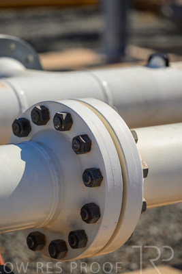 June 2024 / TGS-240605-_Z8C1826