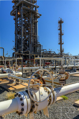 June 2024 / TGS-240605-_Z9C6192