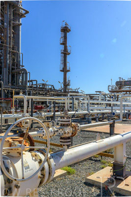 June 2024 / TGS-240605-_Z9C6195