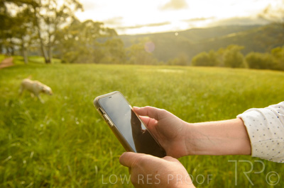 August 2021 / AUSAGRI-210817-1966