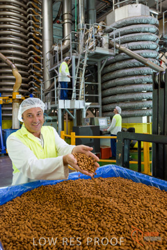 February 2016 / ALMOND_CO_005_160202