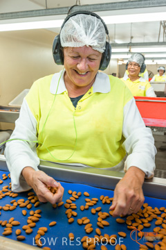 February 2016 / ALMOND_CO_020_160202