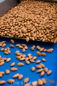 February 2016 / ALMOND_CO_023_160202