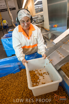 February 2016 / ALMOND_CO_026_160202