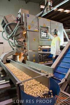 February 2016 / ALMOND_CO_027_160202