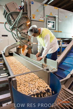 February 2016 / ALMOND_CO_029_160202