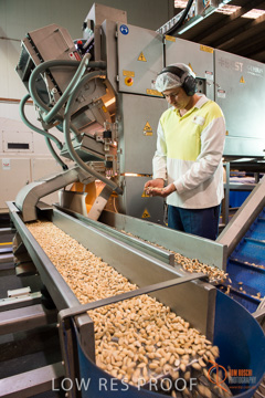 February 2016 / ALMOND_CO_030_160202