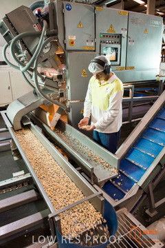 February 2016 / ALMOND_CO_031_160202