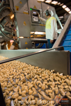 February 2016 / ALMOND_CO_032_160202