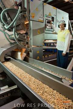 February 2016 / ALMOND_CO_033_160202