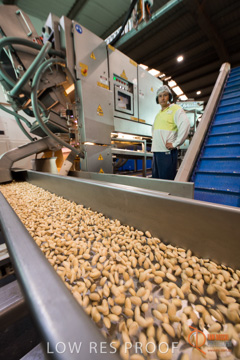 February 2016 / ALMOND_CO_034_160202