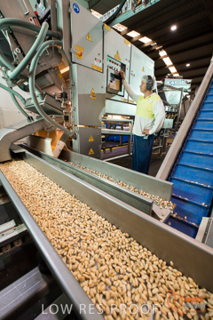 February 2016 / ALMOND_CO_035_160202