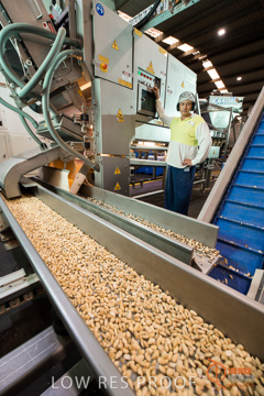 February 2016 / ALMOND_CO_036_160202