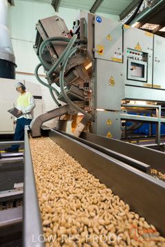 February 2016 / ALMOND_CO_038_160202