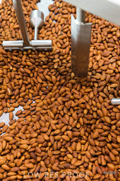 February 2016 / ALMOND_CO_042_160202