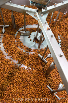 February 2016 / ALMOND_CO_043_160202