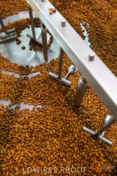 February 2016 / ALMOND_CO_044_160202