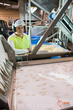 February 2016 / ALMOND_CO_049_160202