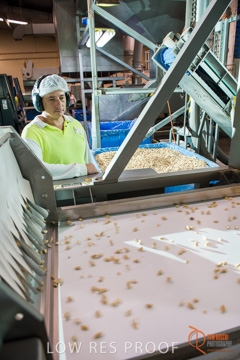 February 2016 / ALMOND_CO_050_160202