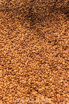 February 2016 / ALMOND_CO_054_160202