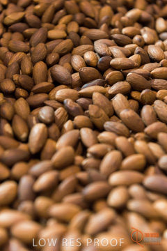 February 2016 / ALMOND_CO_056_160202