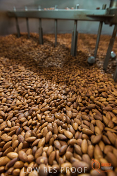 February 2016 / ALMOND_CO_059_160202