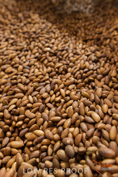 February 2016 / ALMOND_CO_060_160202