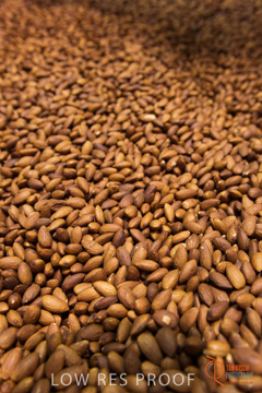 February 2016 / ALMOND_CO_061_160202