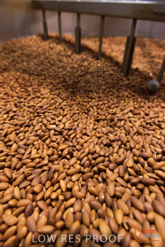 February 2016 / ALMOND_CO_062_160202