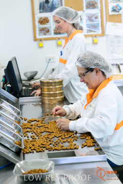 February 2016 / ALMOND_CO_077_160202