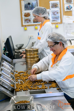 February 2016 / ALMOND_CO_078_160202