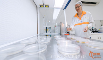 February 2016 / ALMOND_CO_082_160202