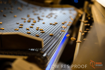 August 2012 / ALMOND_CO_088_120817