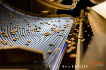 August 2012 / ALMOND_CO_089_120817