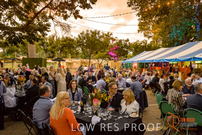 BSA_FRINGE_CLUB_171_170224__DSC8105