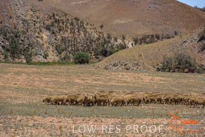 February 2018 / BFM_BURFORD_TW_&_Son_180205_038