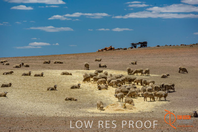 February 2018 / BFM_BURFORD_TW_&_Son_180205_045