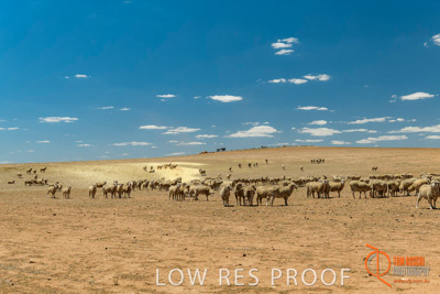 February 2018 / BFM_BURFORD_TW_&_Son_180205_077