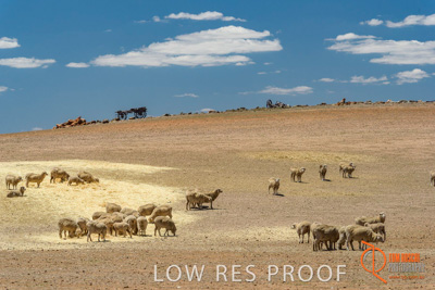 February 2018 / BFM_BURFORD_TW_&_Son_180205_079