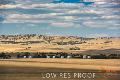 February 2018 / BFM_BURFORD_TW_&_Son_180205_080