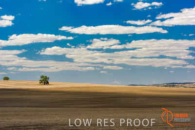 February 2018 / BFM_BURFORD_TW_&_Son_180205_082