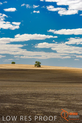 February 2018 / BFM_BURFORD_TW_&_Son_180205_085