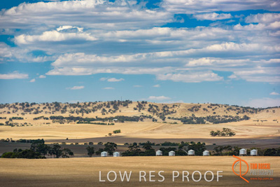 February 2018 / BFM_BURFORD_TW_&_Son_180205_089