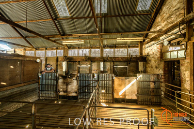 February 2018 / BFM_SUNNYSIDE_AGRI_Minlaton_180205_084