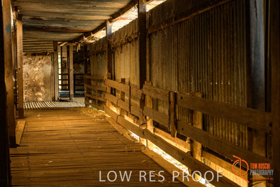 February 2018 / BFM_SUNNYSIDE_AGRI_Minlaton_180205_093